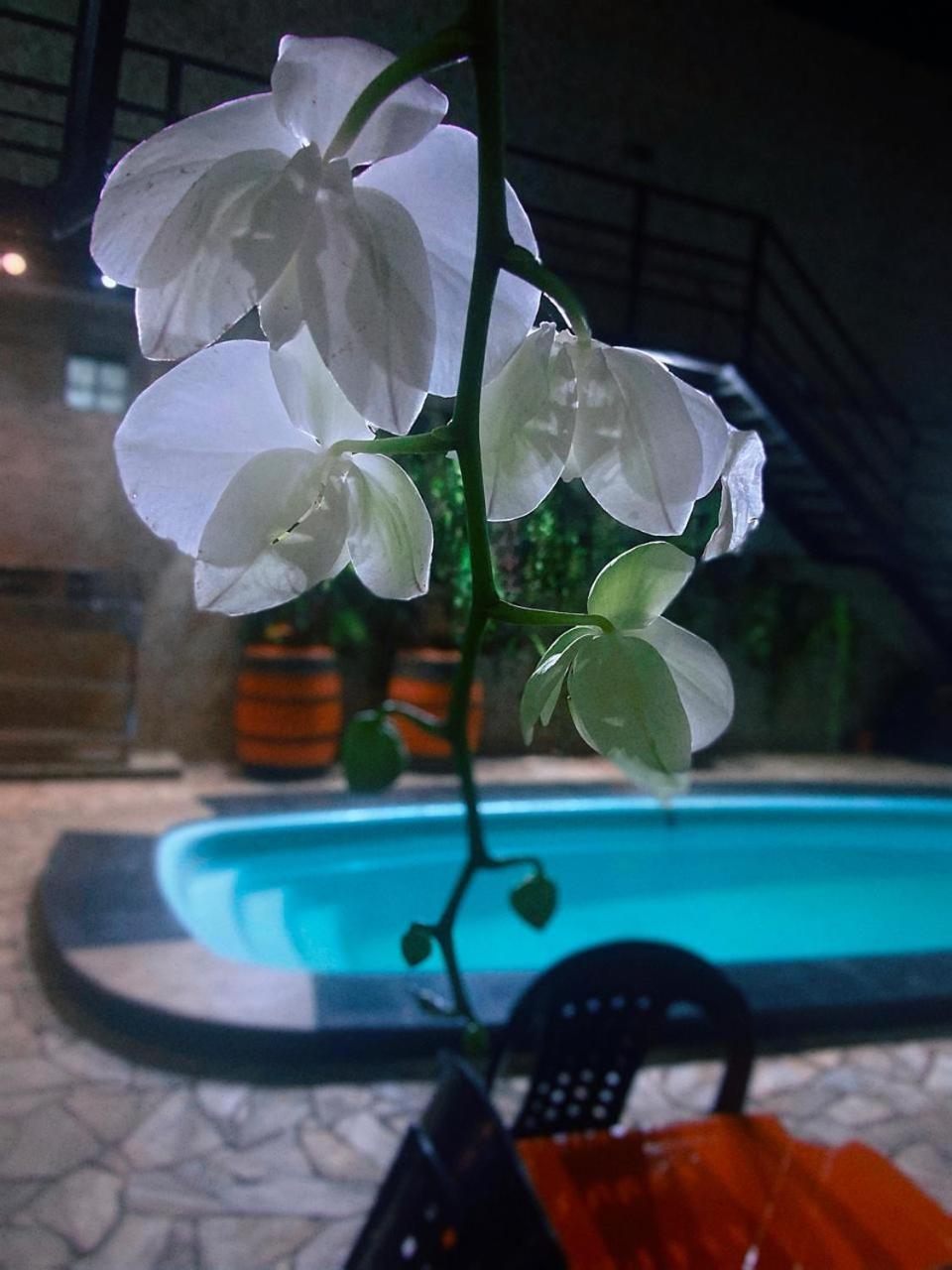 Hostel Gravata Piracicaba Luaran gambar